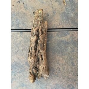 Natural Driftwood for Plants Terrarium Taxidermy Art Projects